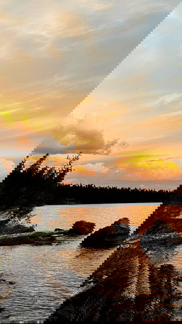 carolinezalog carolinezalog archive image