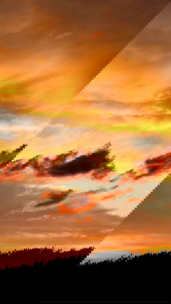 carolinezalog carolinezalog archive image