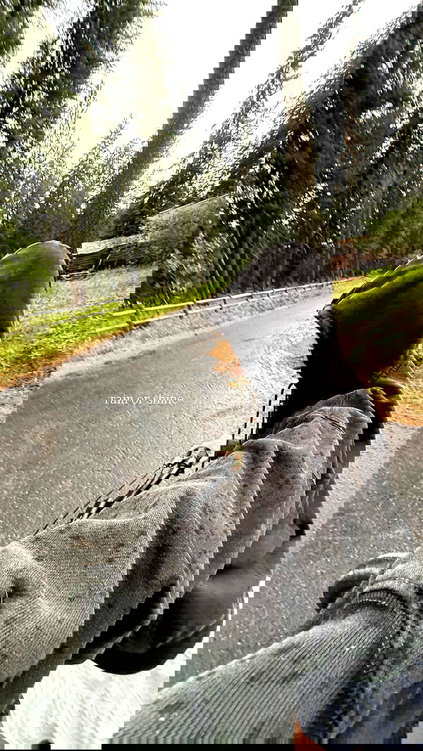 carolinezalog carolinezalog archive image