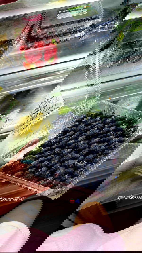 carolinezalog carolinezalog archive image