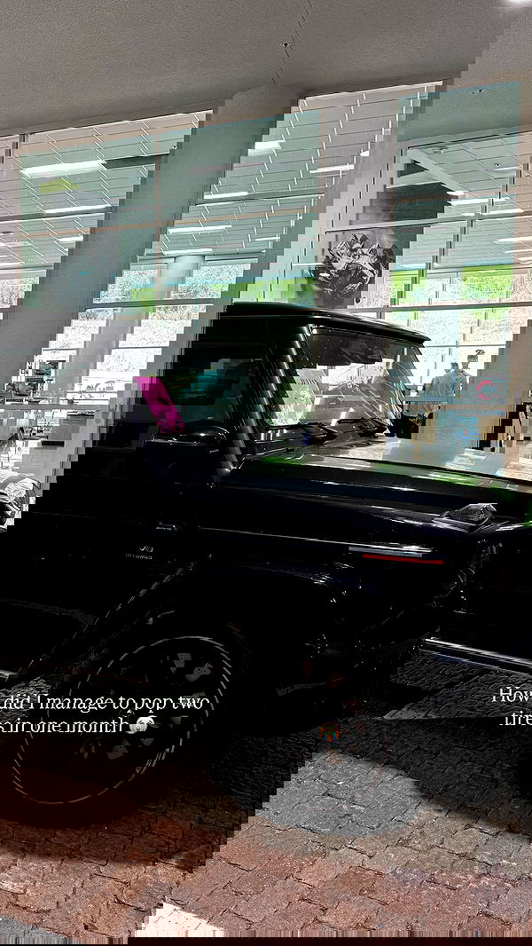 carolinezalog carolinezalog archive image