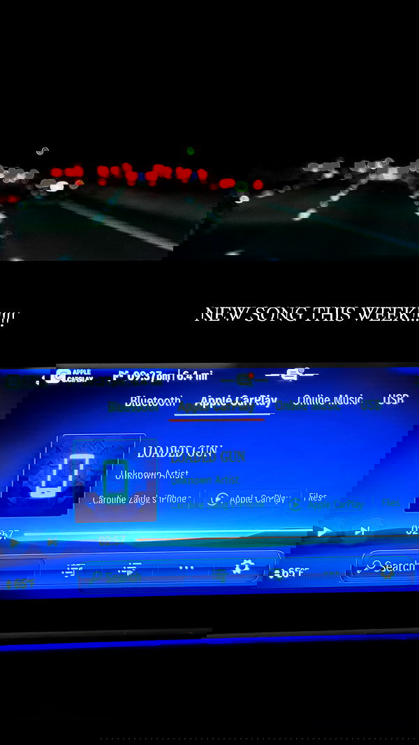 carolinezalog carolinezalog archive image