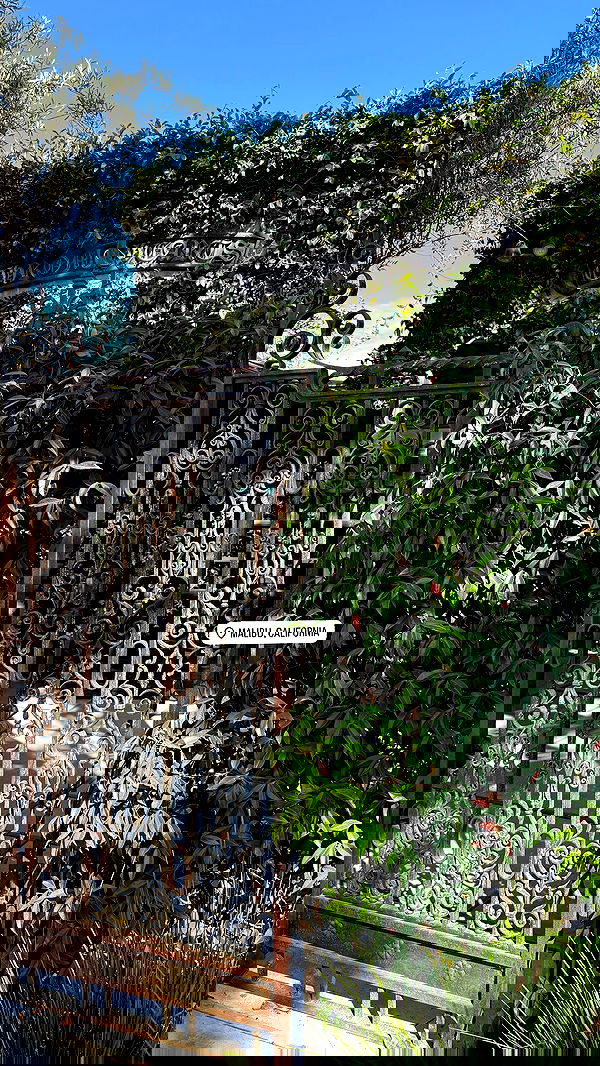 carolinezalog carolinezalog archive image