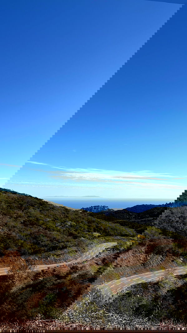 carolinezalog carolinezalog archive image