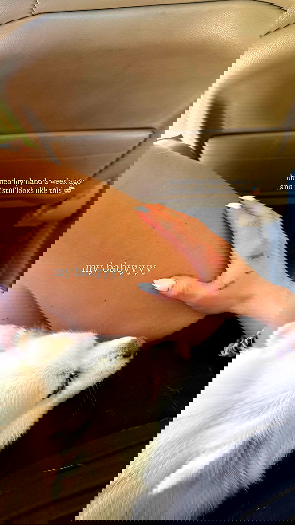 carolinezalog carolinezalog archive image