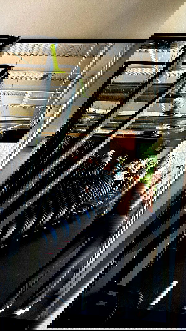 carolinezalog carolinezalog archive image