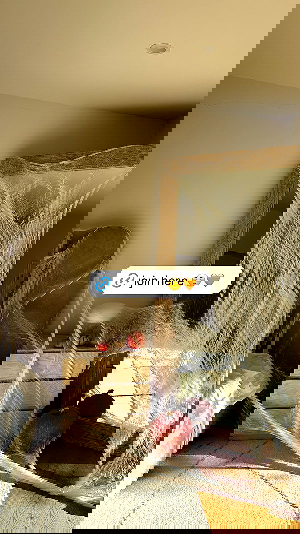 carolinezalog carolinezalog archive image