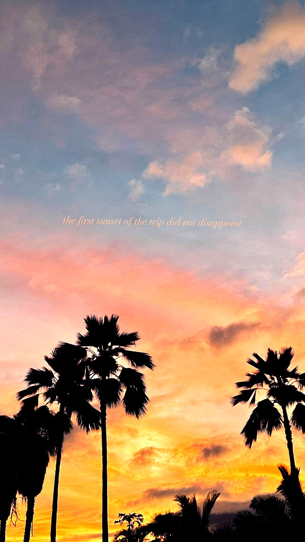 caseboon instagram image archive image