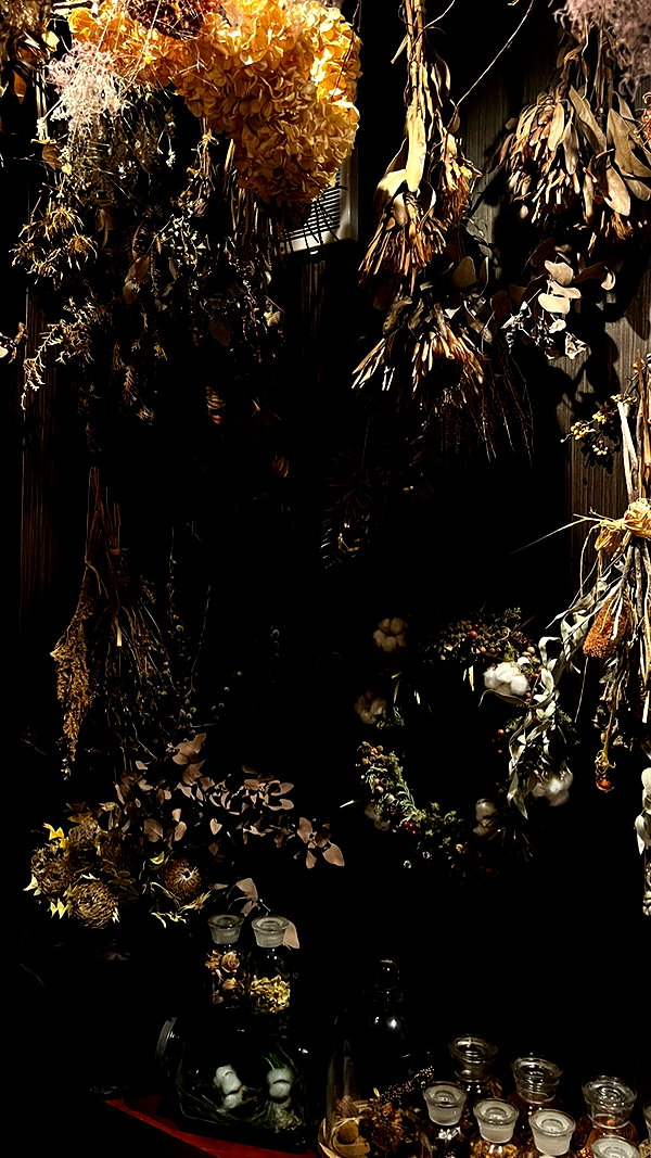 casethecreep casethecreep archive image