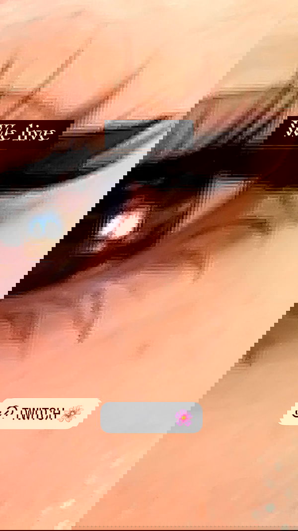 cata.leyah image ~ Altpins