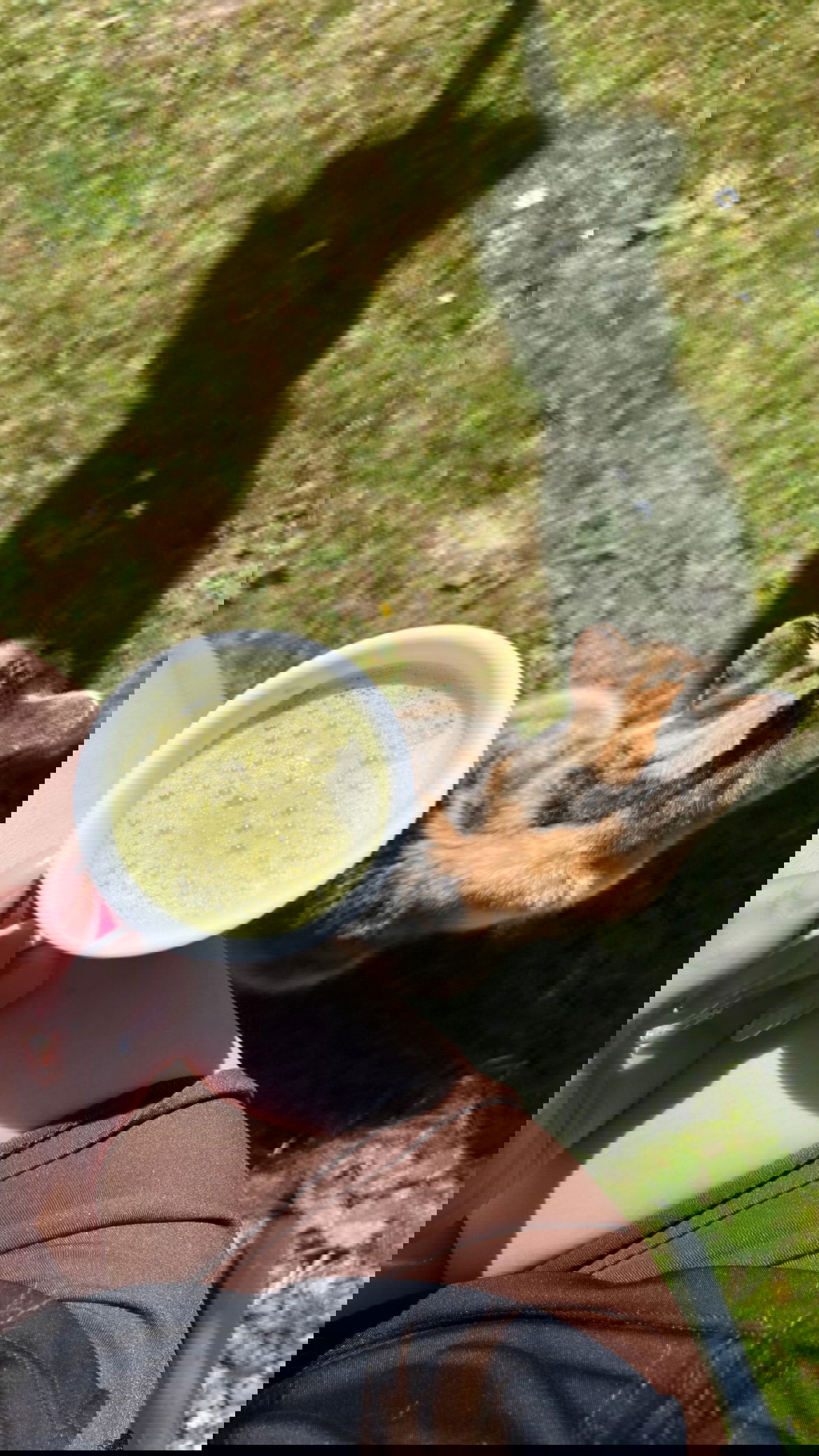 cata.leyah instagram image archive image