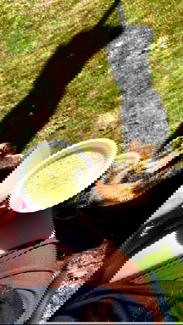 cata.leyah image ~ Altpins