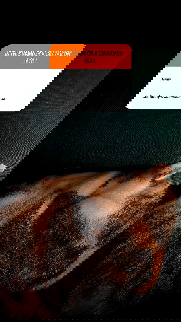 cata.leyah image ~ Altpins