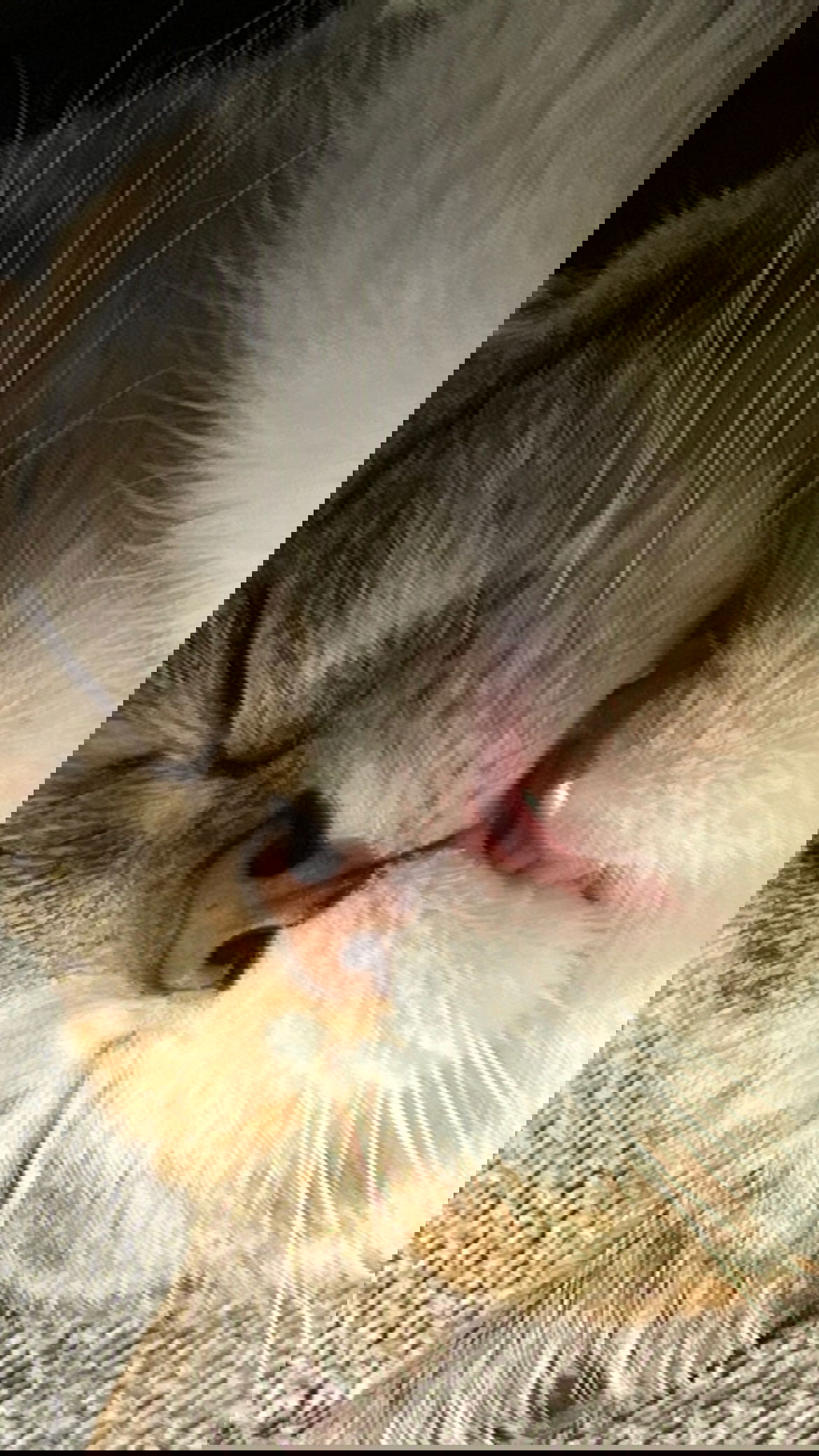 cata.leyah instagram image archive image