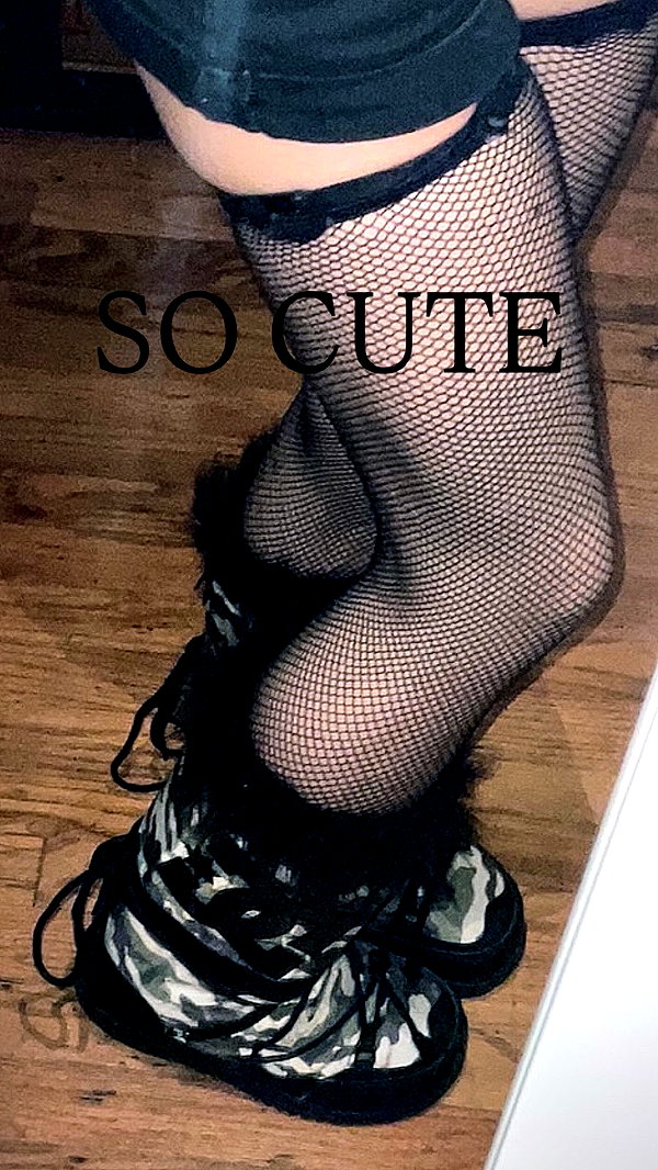 catastoo instagram image archive image