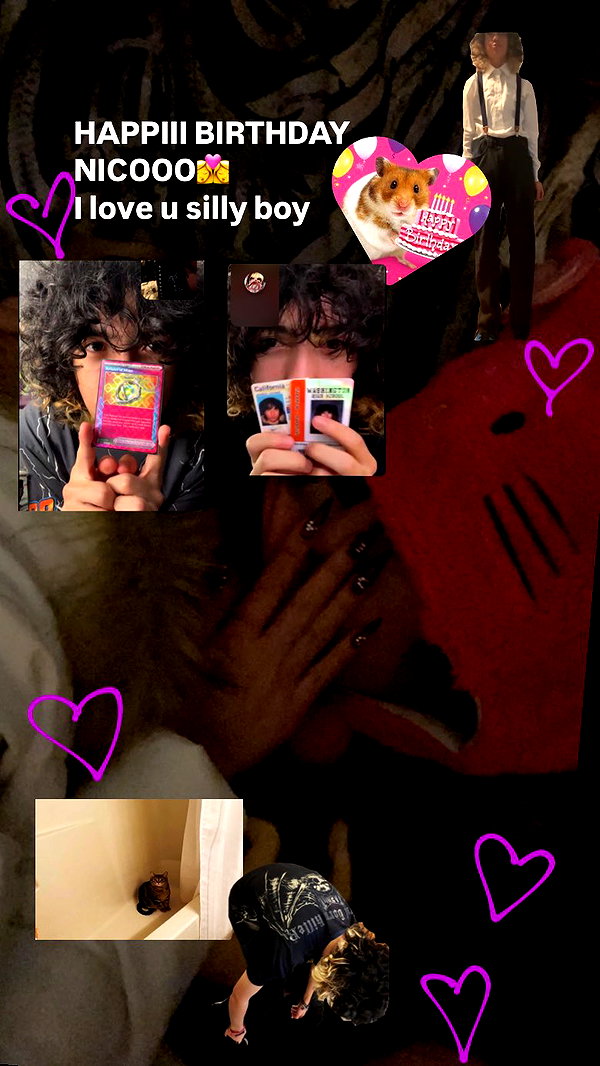 catastoo instagram image archive image