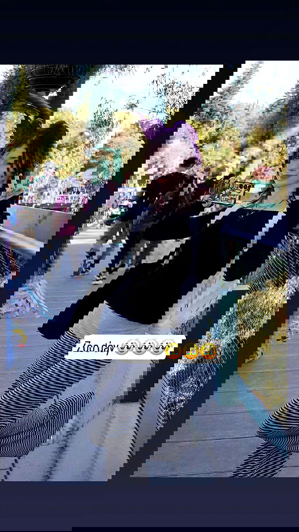 celebi.cos image ~ Altpins