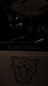 celestediconzoo Altpins Profile Picture