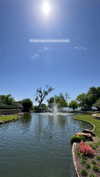 celestediconzoo Altpins Profile Picture
