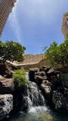 celestediconzoo Altpins Profile Picture