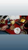 celestediconzoo Altpins Profile Picture