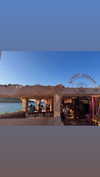 celestediconzoo Altpins Profile Picture
