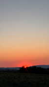 celestediconzoo Altpins Profile Picture