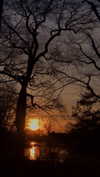 cellow111 Altpins Profile Picture