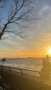 cellow111 Altpins Profile Picture