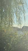 cellow111 Altpins Profile Picture