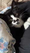 cellow111 Altpins Profile Picture