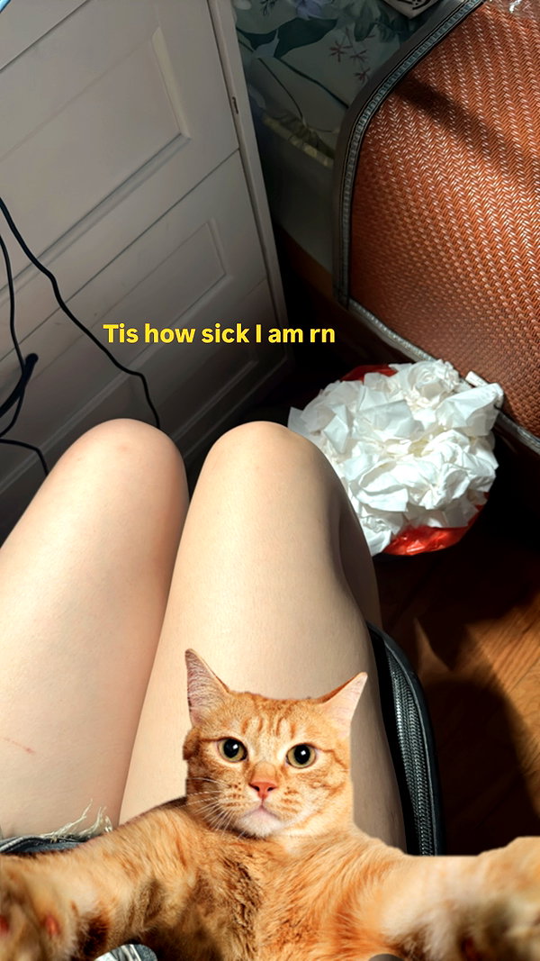 cellow111 instagram image archive image