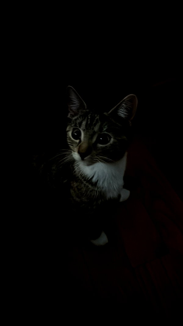cellow111 instagram image archive image