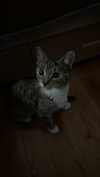 cellow111 Altpins Profile Picture