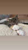 cellow111 Altpins Profile Picture