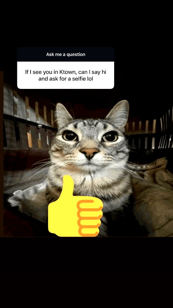 cellow111 instagram image archive image