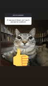 cellow111 Altpins Profile Picture