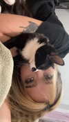 cellow111 Altpins Profile Picture