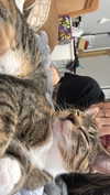 cellow111 Altpins Profile Picture