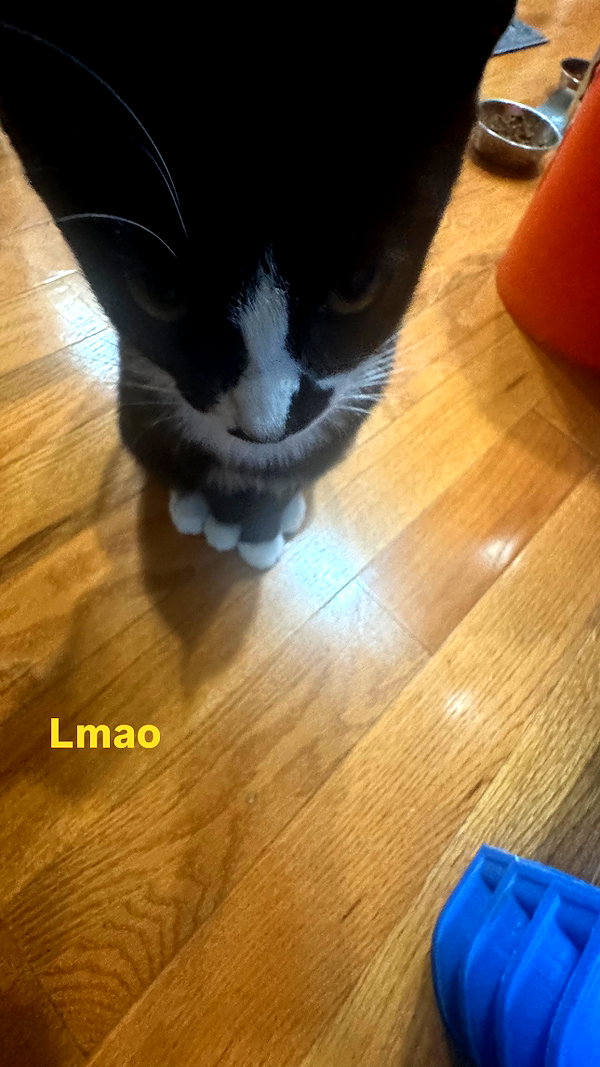 cellow111 instagram image archive image