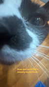 cellow111 Altpins Profile Picture