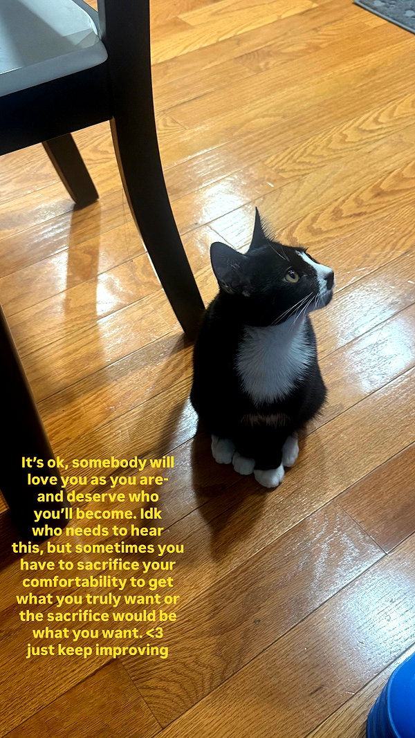 cellow111 instagram image archive image