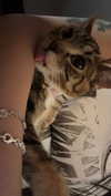cellow111 Altpins Profile Picture