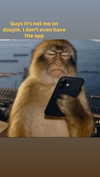 cellow111 Altpins Profile Picture