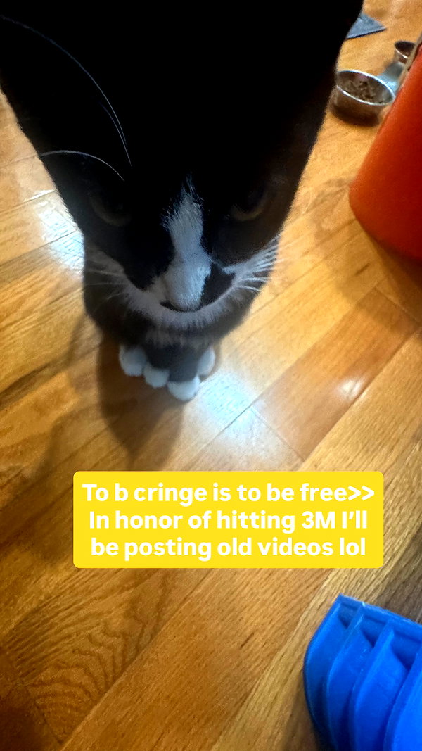 cellow111 instagram image archive image