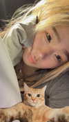 cellow111 Altpins Profile Picture