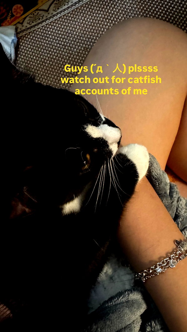 cellow111 instagram image archive image