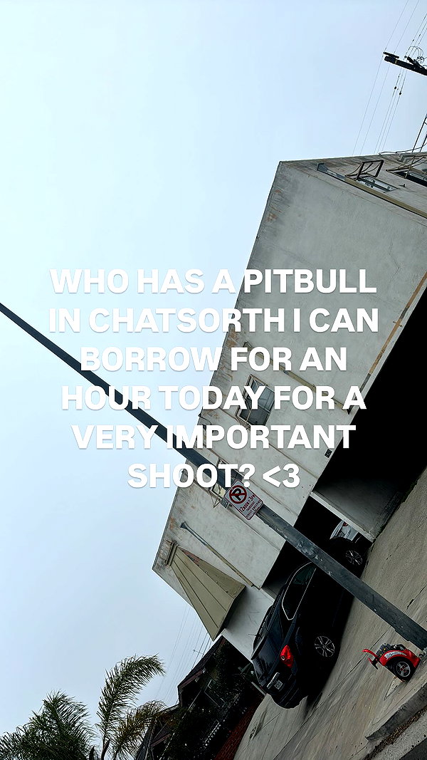 ch111oe instagram image archive image