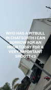 ch111oe Altpins Profile Picture