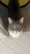charleygrayyy Altpins Profile Picture